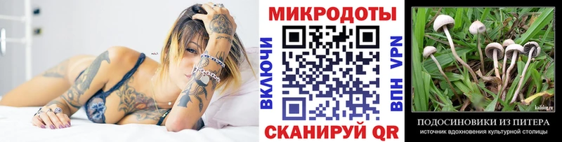 Галлюциногенные грибы Psilocybine cubensis  Купить где  Лениногорск 